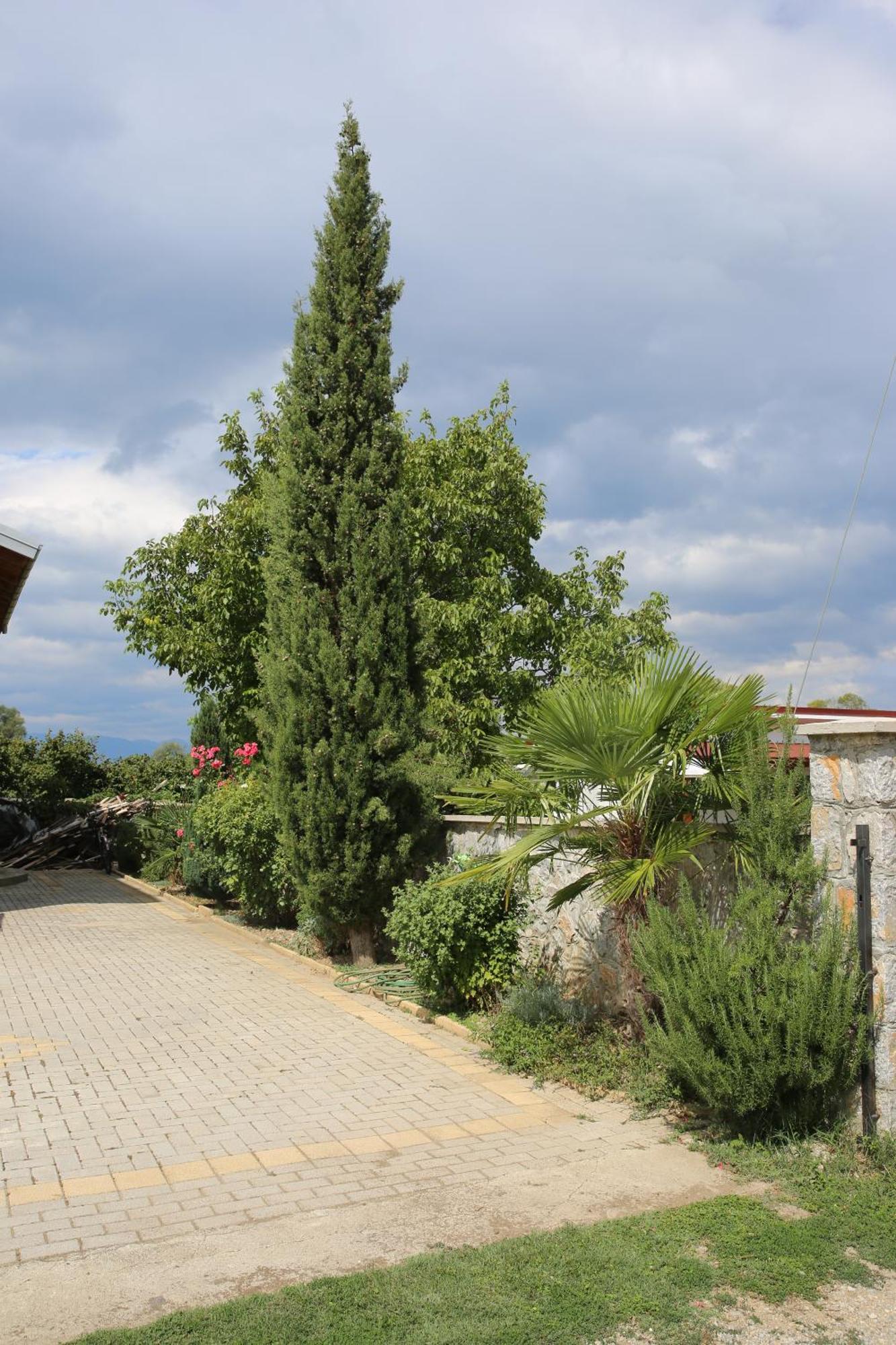 Villa Goriza Prestige โอครีด ภายนอก รูปภาพ