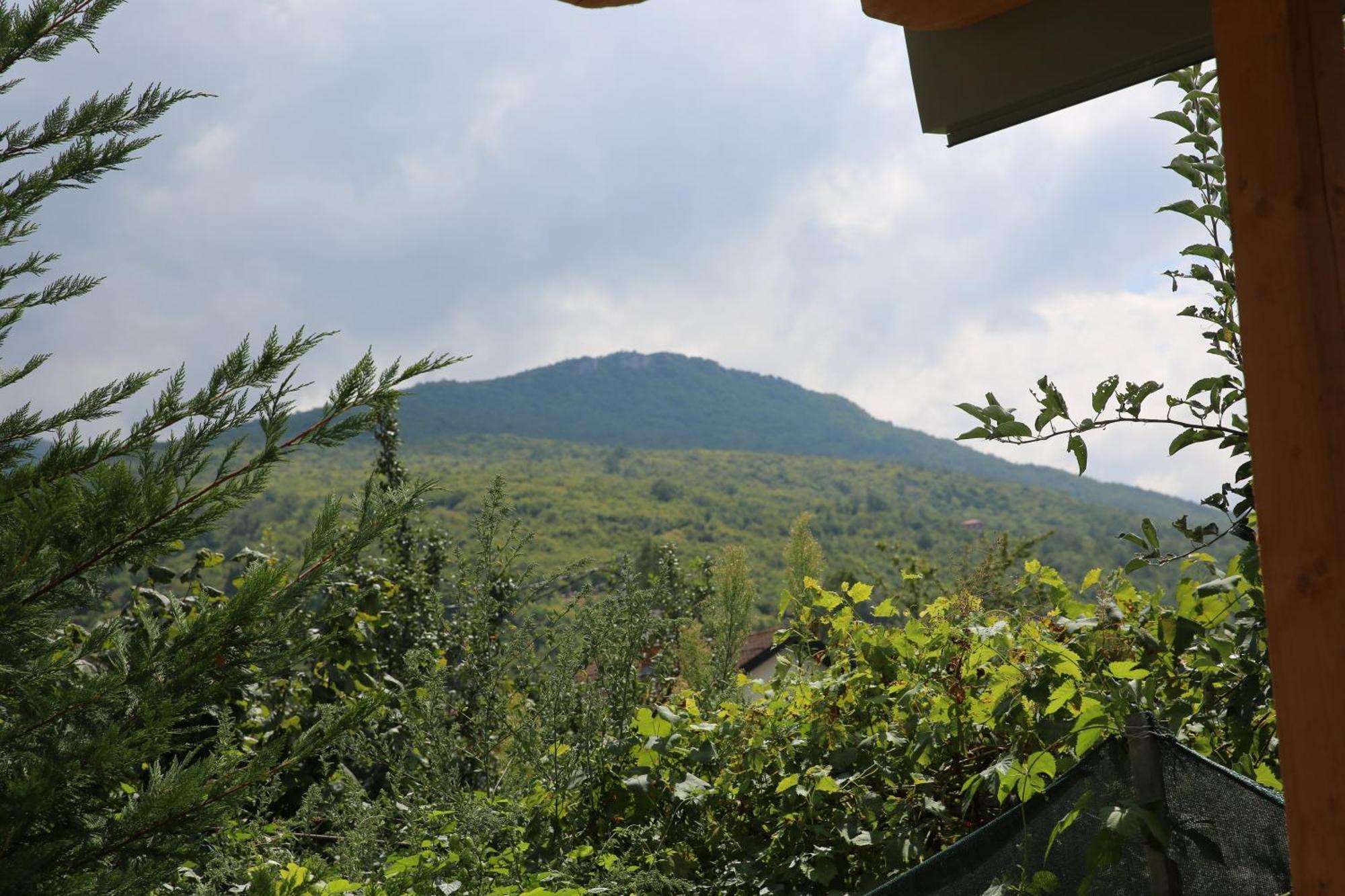 Villa Goriza Prestige โอครีด ภายนอก รูปภาพ